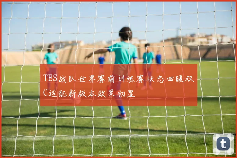 TES战队世界赛前训练赛状态回暖双C适配新版本效果初显